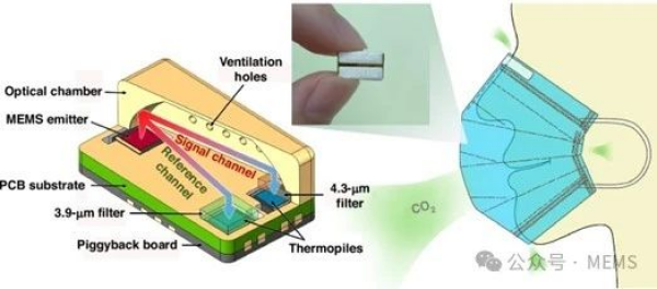 U020241104353047510562.jpg 星天地