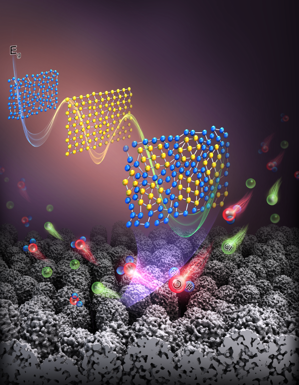 U020241111319999446719.png 星天地