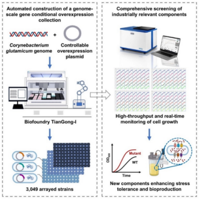 U020241111355835754452.jpg 星天地