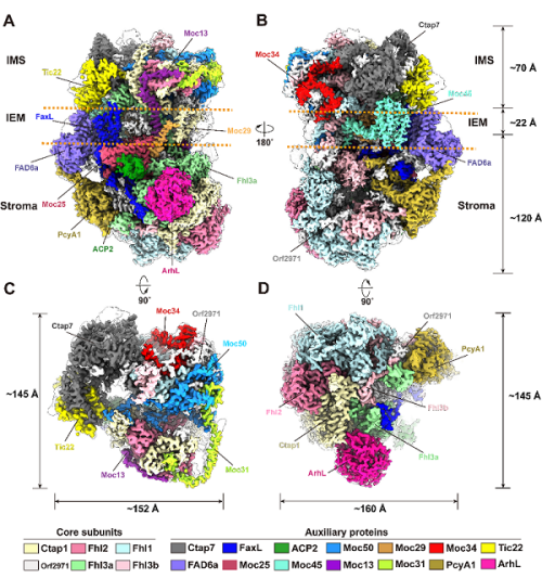 U020241108364609301850.png 星天地
