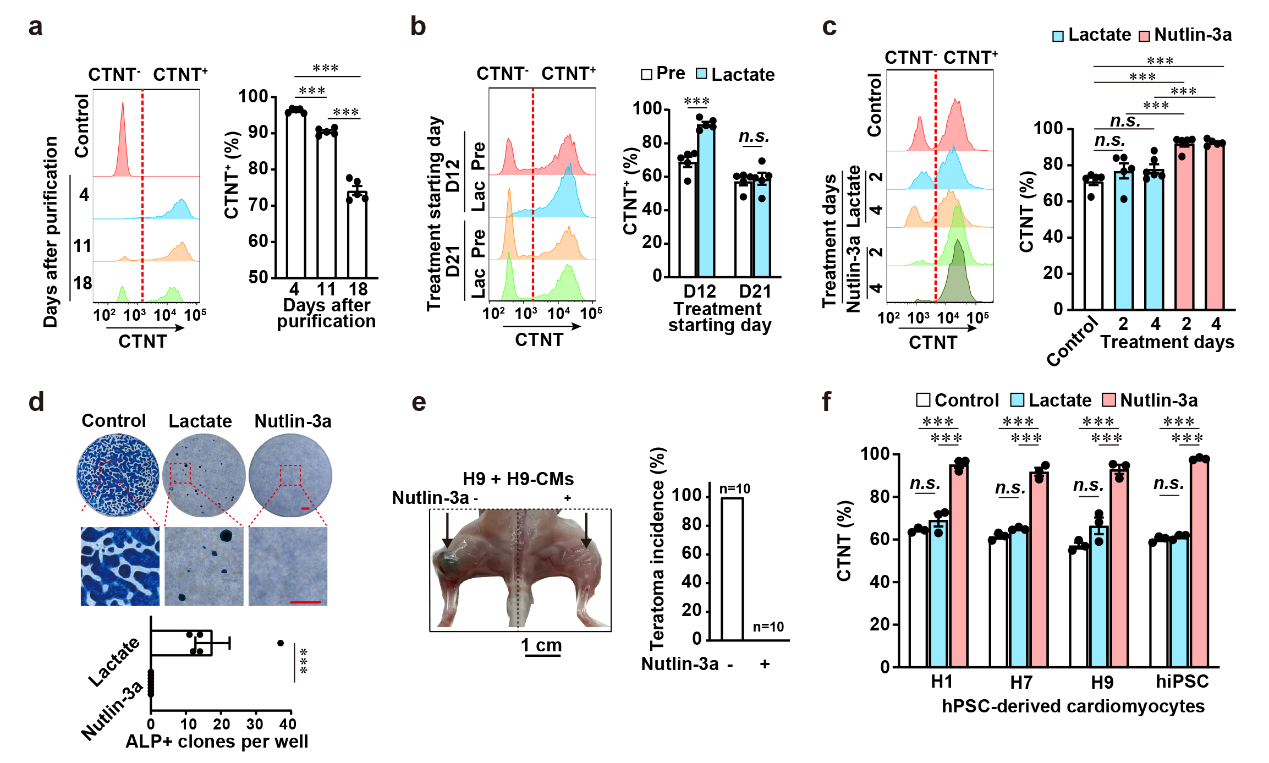 U020250428559904186371.png 星天地