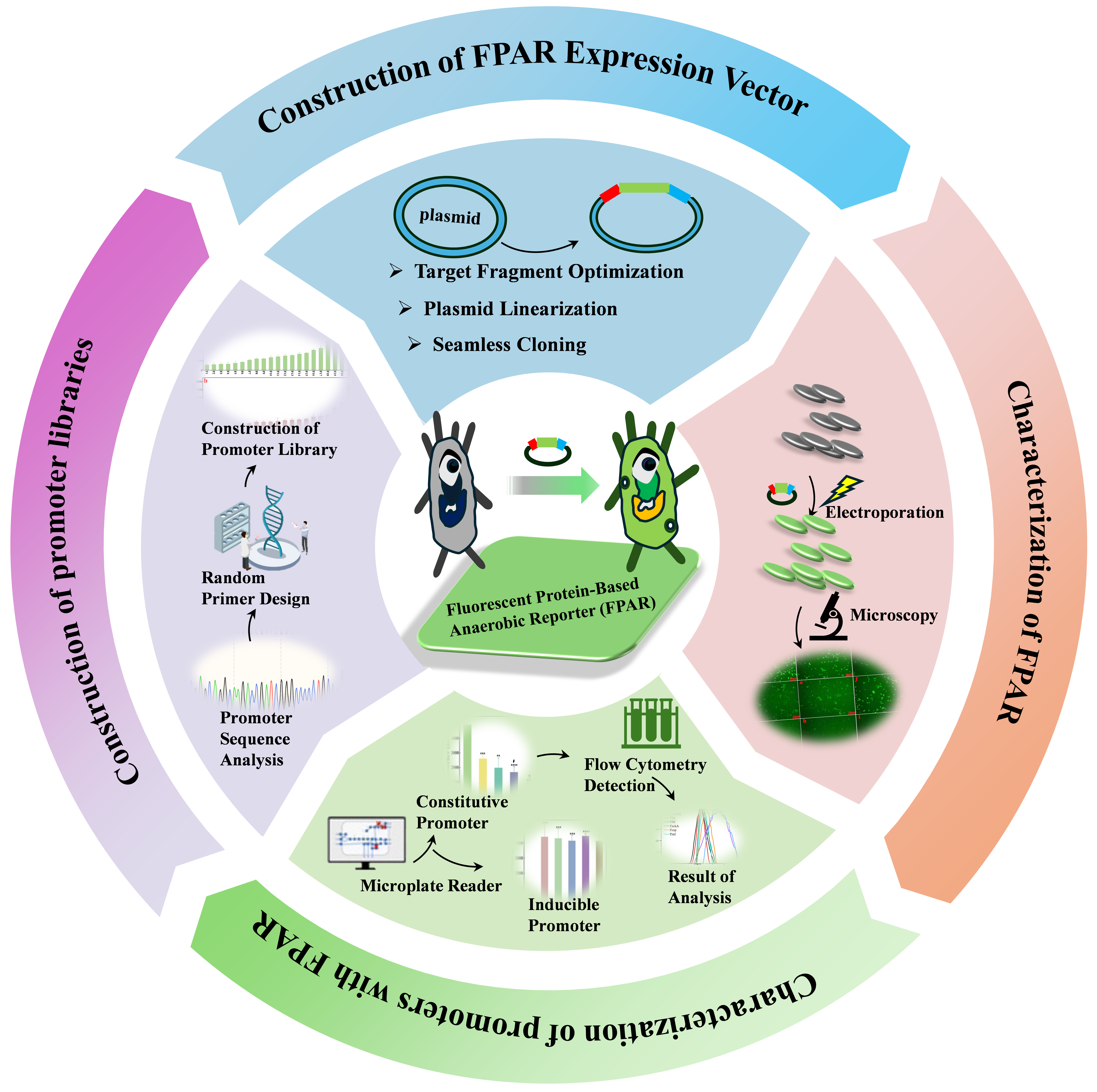 U020250430581565580026.png 星天地