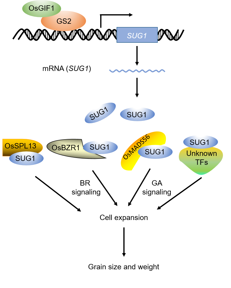 U020250430609351182915.png 星天地