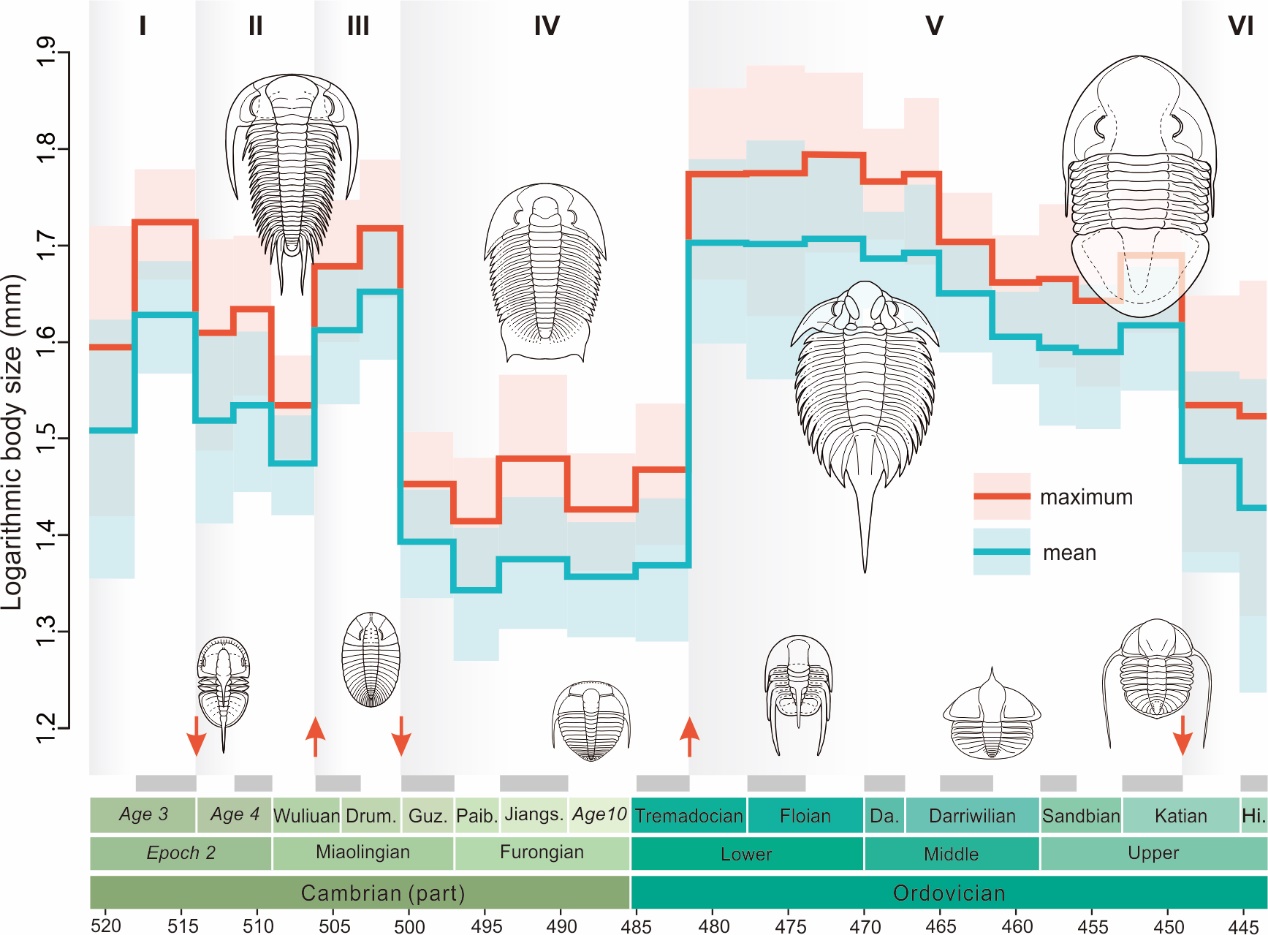 U020250506349501842923.jpg 星天地