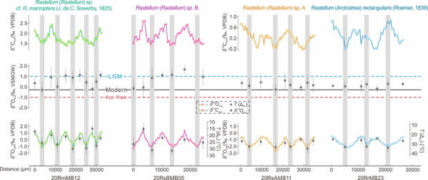 U020250503756303952328.png 星天地