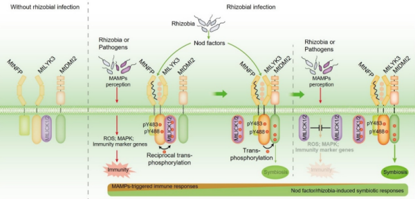 U020250507341735579009.png 星天地