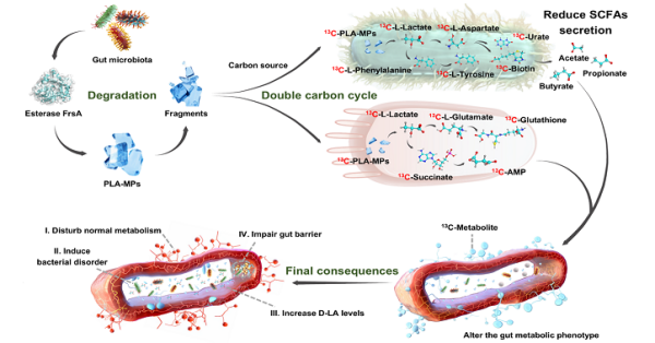 U020250507356474397783.png 星天地