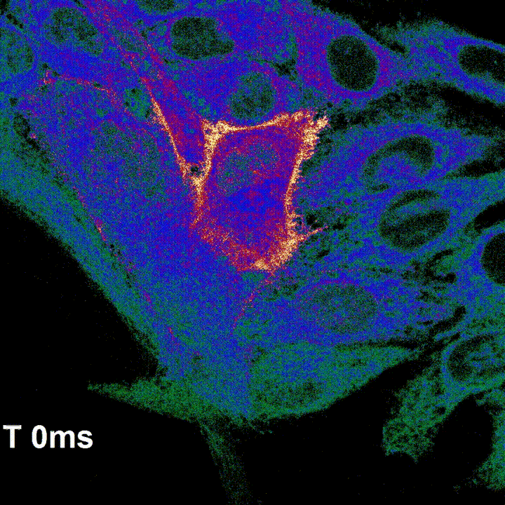 U020250506359168776333.gif 星天地