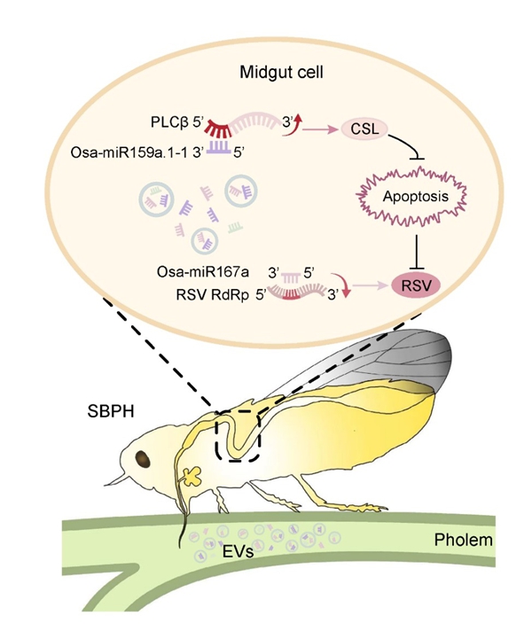 U020250507459292728242.jpg 星天地