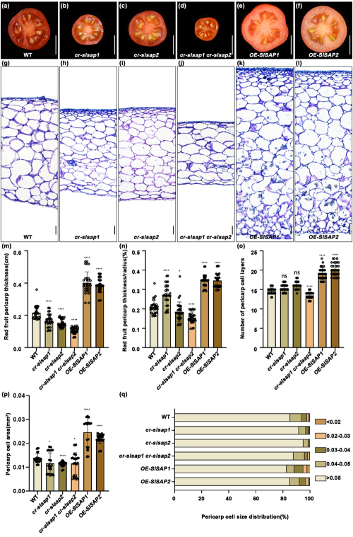 U020250507827391304183.jpg 星天地