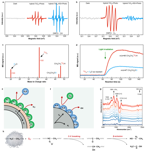 U020250506373001817877.png 星天地