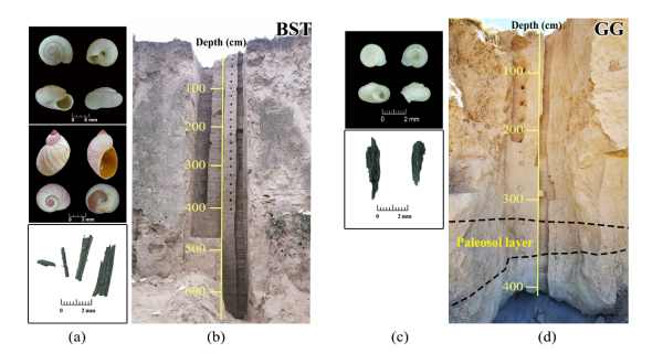 U020250509530939836821.png 星天地