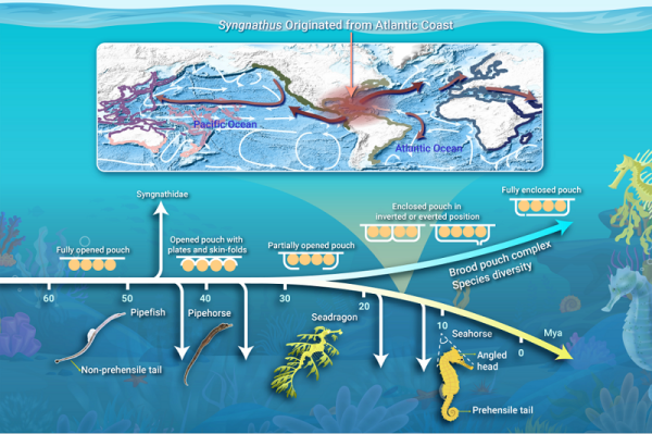 U020250513385314972602.png 星天地