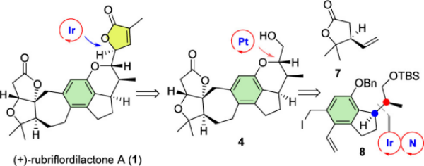 U020250512515049079645.png 星天地