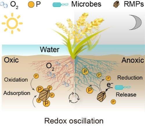 U020250514372825576217.jpg 星天地