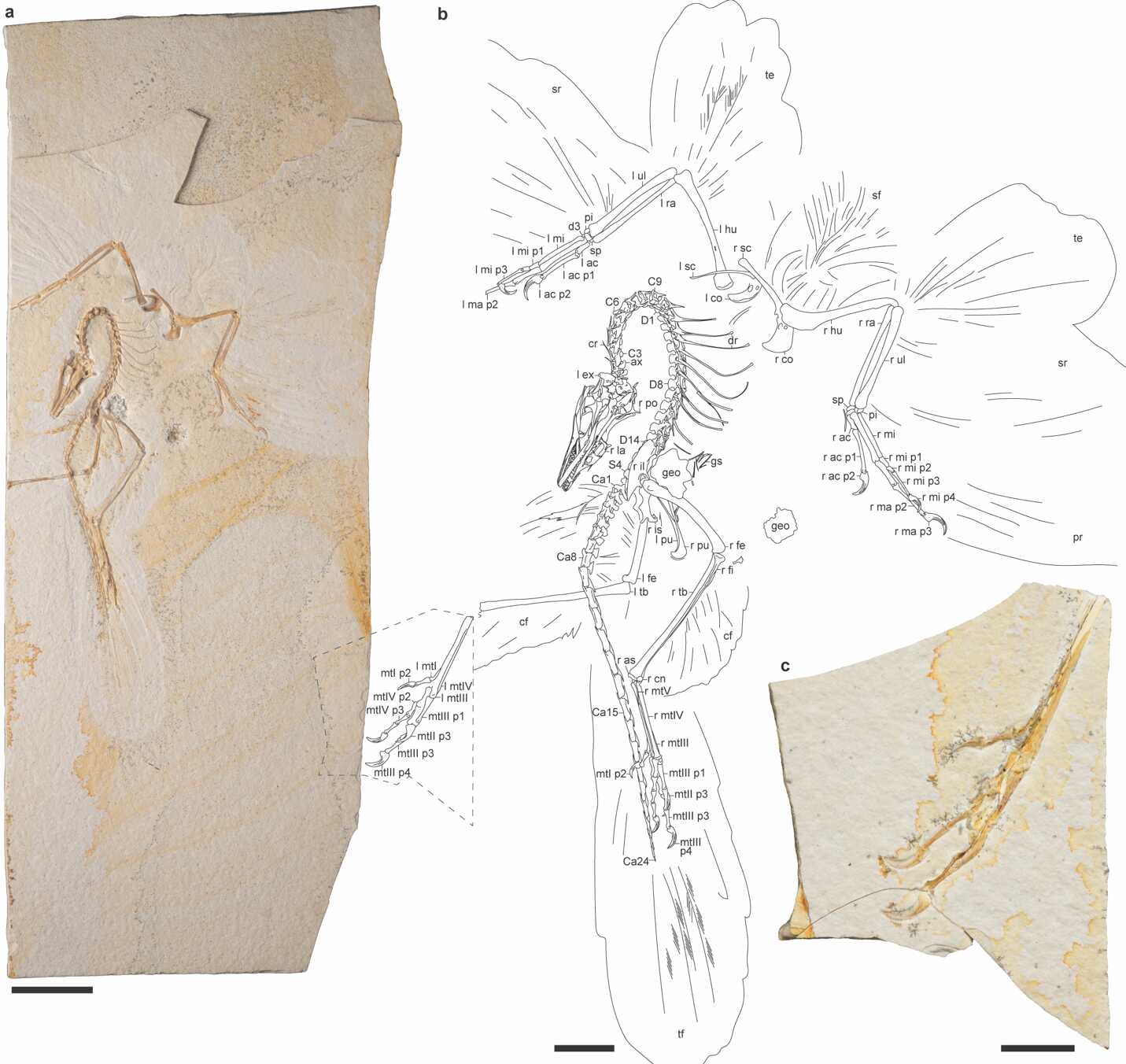 U020250515316920939360.png 星天地