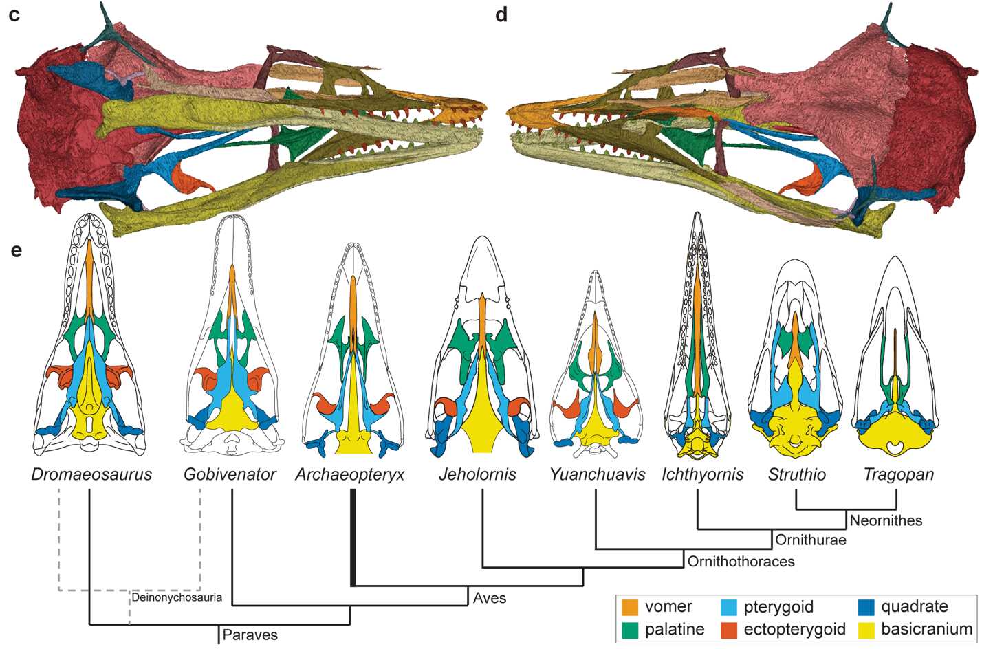 U020250515316921096487.png 星天地