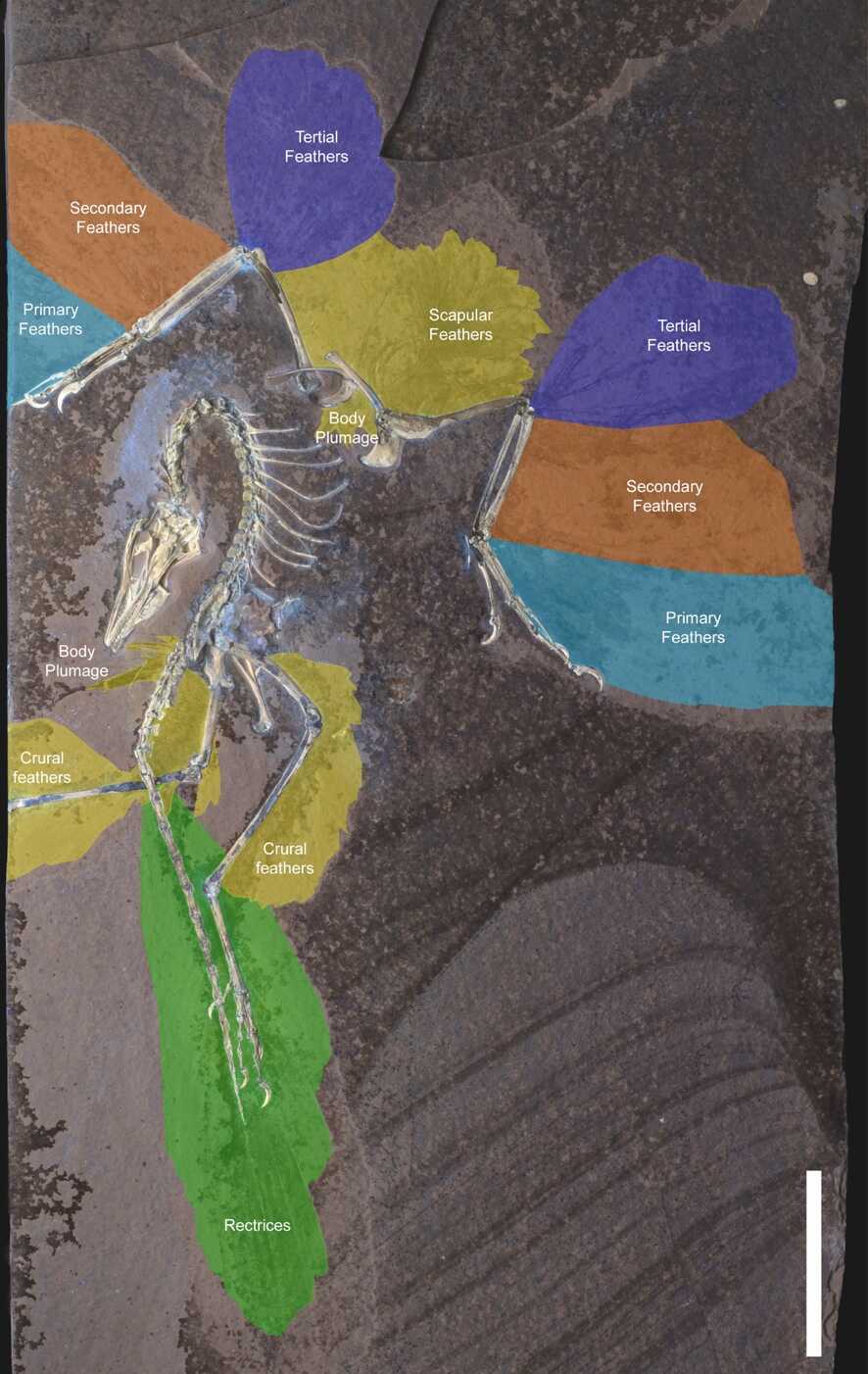 U020250515316921248965.png 星天地