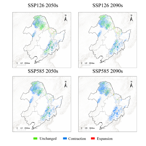U020250514580718420156.png 星天地