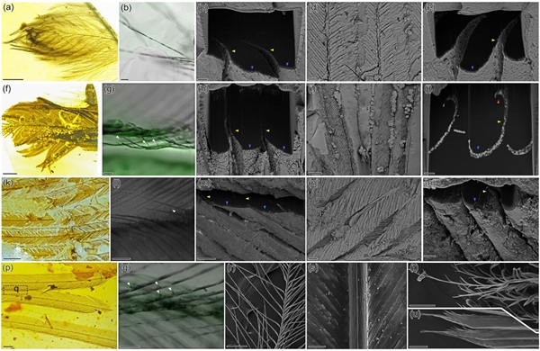 U020250514742353891119.jpg 星天地