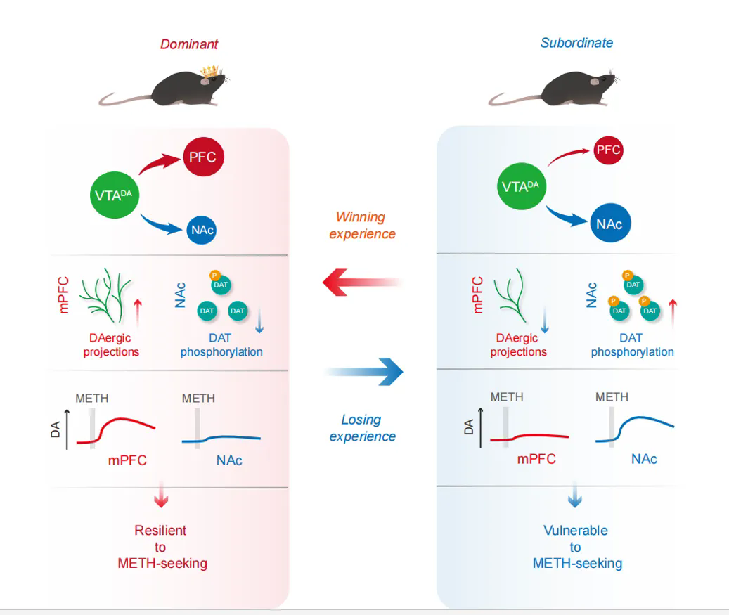 U020250515651324676216.png 星天地