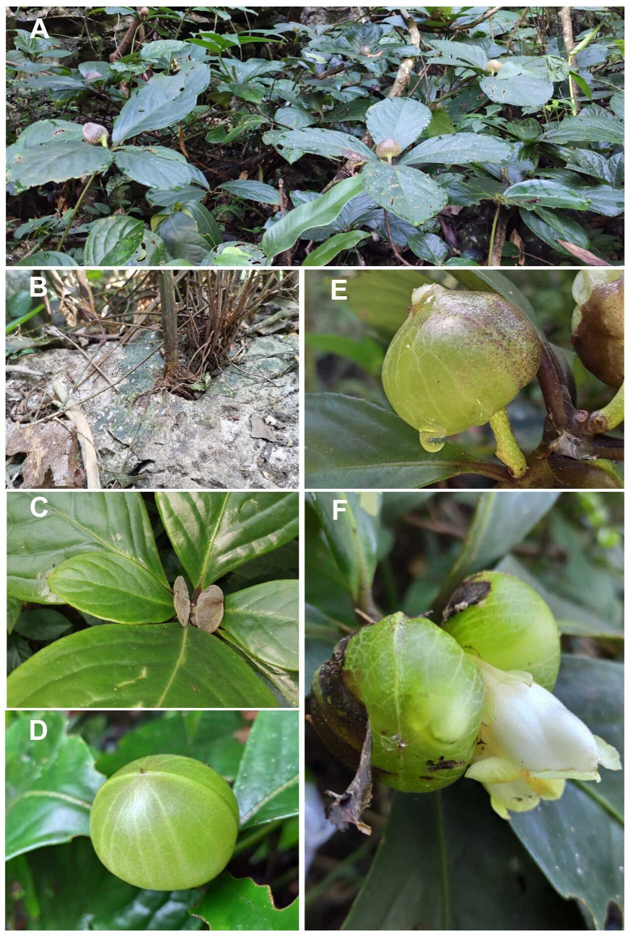 U020250519608589951414.png 星天地