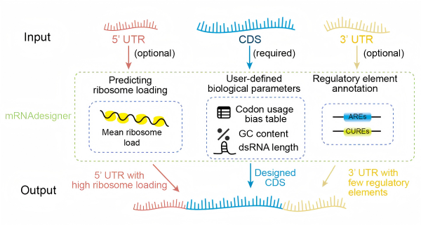 U020250521348714095025.jpg 星天地