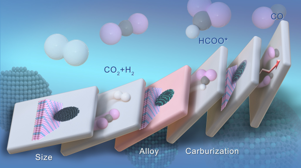 U020250606295794697503.jpg 星天地