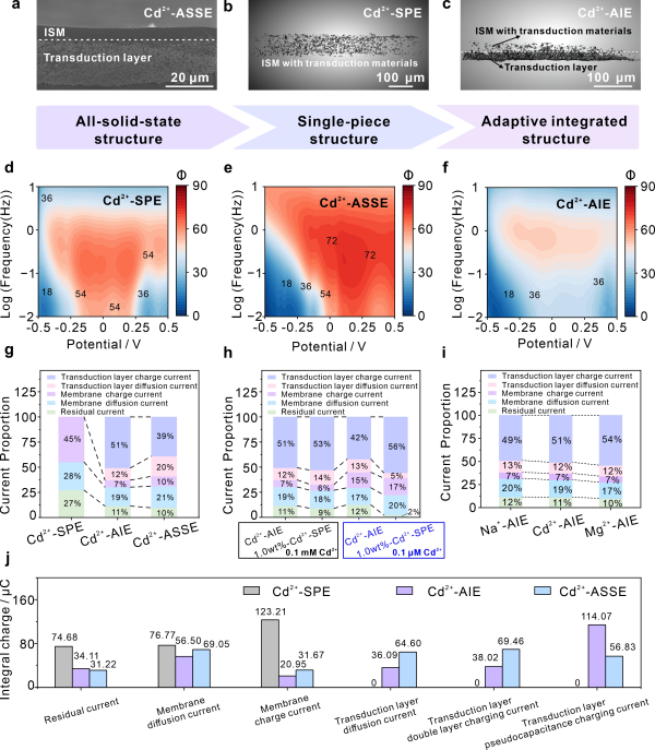 U020250609362424134061.jpg 星天地