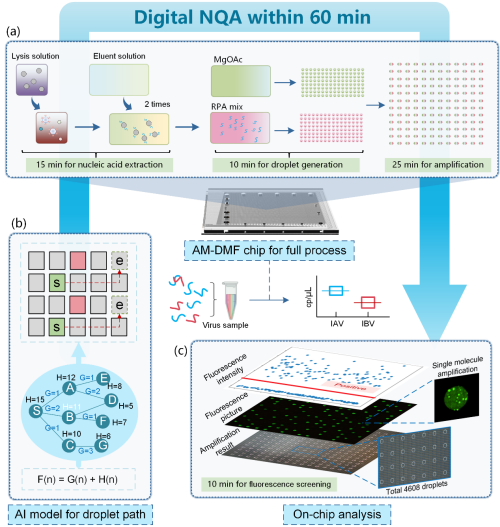U020250606606064743435.png 星天地