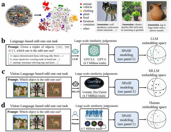 U020250609641485871142.jpg 星天地
