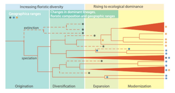 U020250606368292968822.jpg 星天地