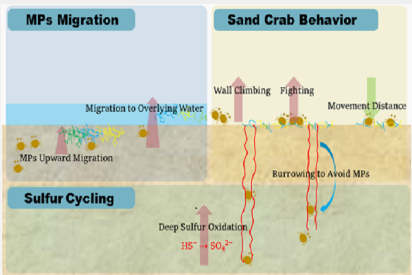 U020250610397451455517.png 星天地