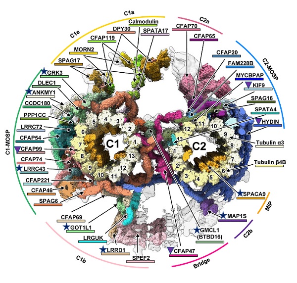 U020250609500056234150.jpg 星天地