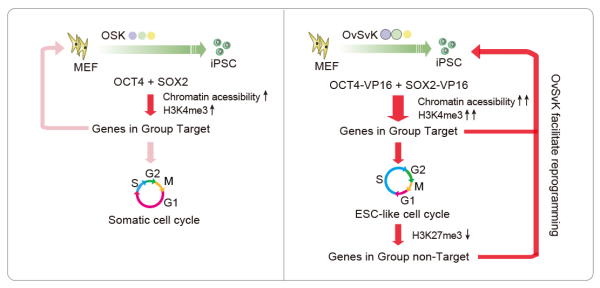 U020250609548211831308.png 星天地
