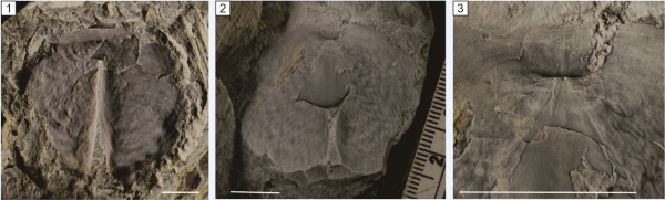 U020250610611252414039.png 星天地