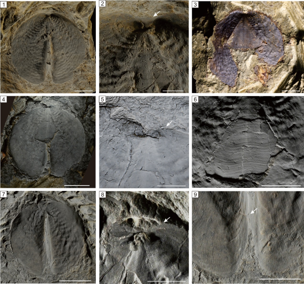 U020250610611251776336.jpg 星天地
