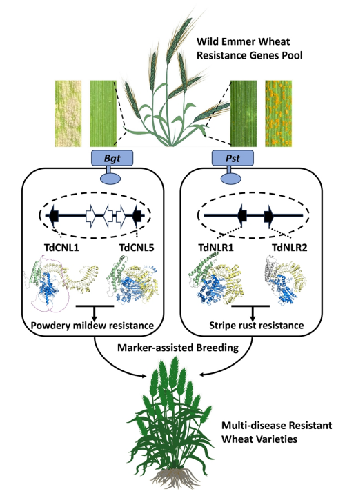 U020250610321561345458.jpg 星天地
