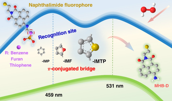 U020250611795547775696.jpg 星天地