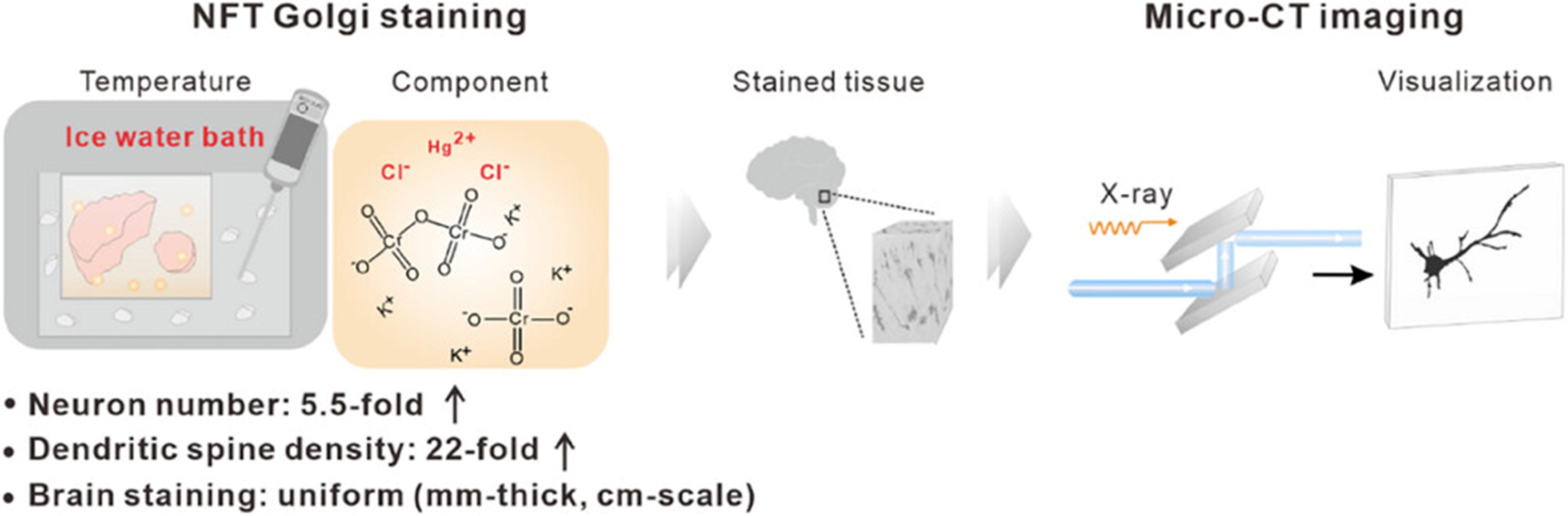 U020250616332466070094.jpg 星天地