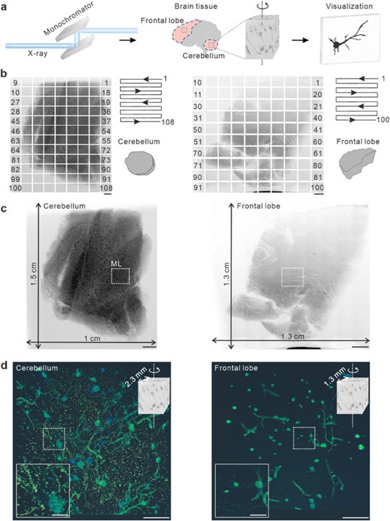 U020250616332466561830.jpg 星天地
