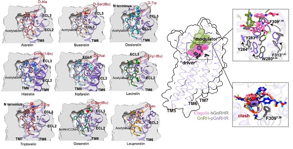 U020250618385975007845.jpg 星天地