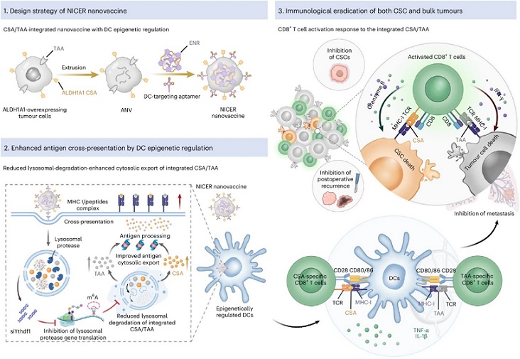 U020250618411520874912.jpg 星天地