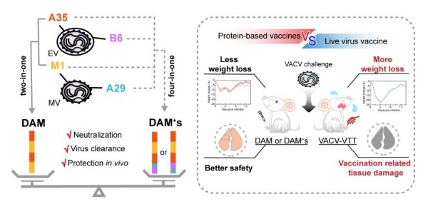 U020250618396815132304.jpg 星天地