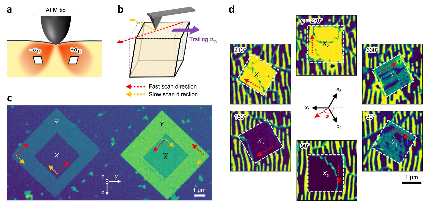 U020250618546959648261.jpg 星天地