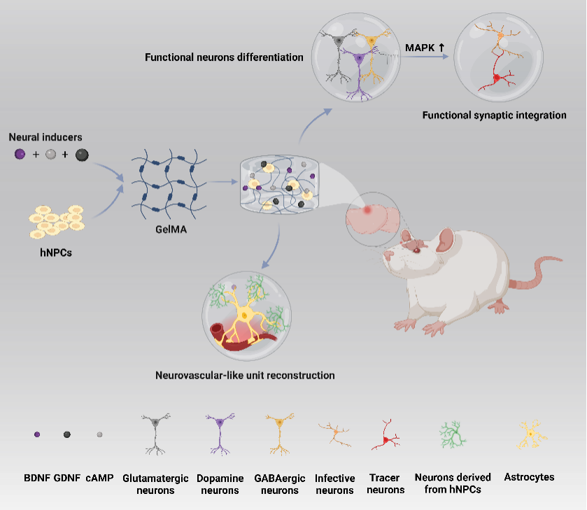U020250618623633165250.png 星天地