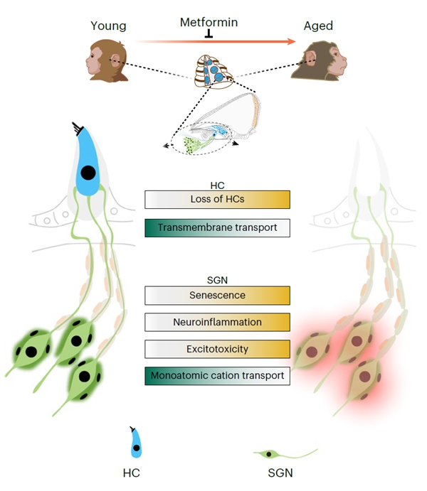 U020250620670607242751.jpg 星天地