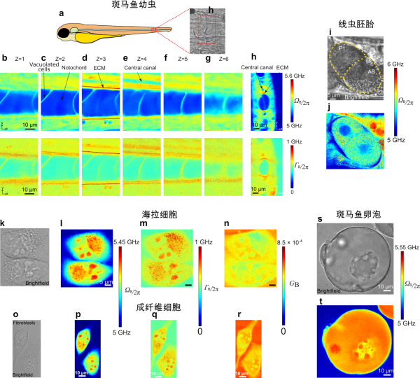 U020250711353757524131.png 星天地