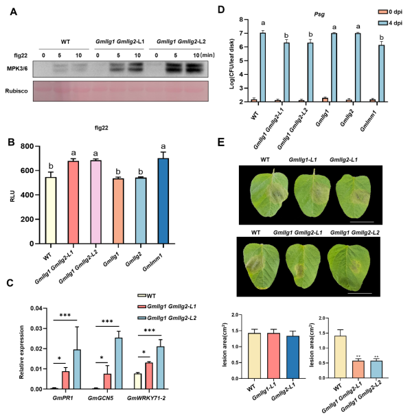 U020250711548826024978.png 星天地