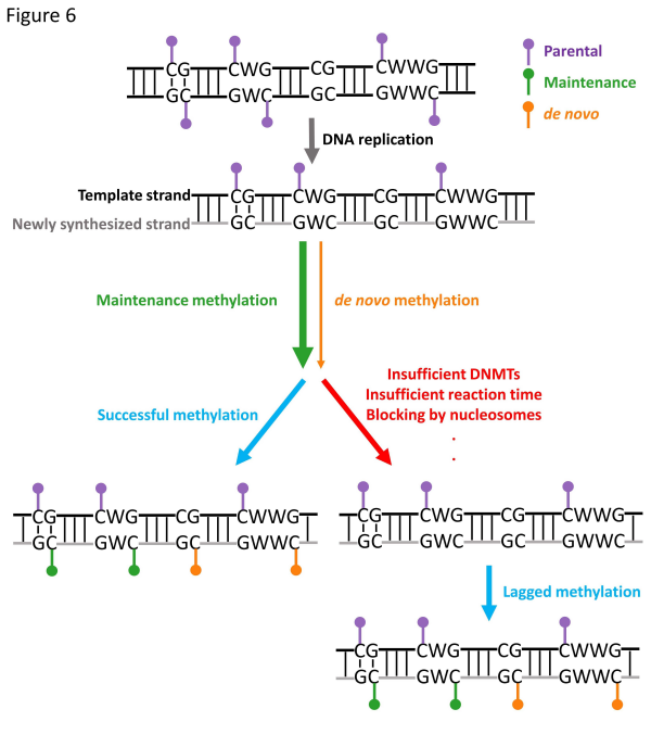U020250714373799456578.jpg 星天地